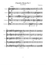 Tchaikovsky - Cherubic Hymn arr. for String Orchestra